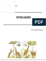 Aula Evoluo