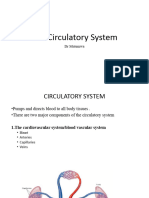 Circulatory System