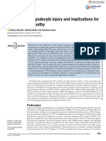 Mechanisms of Podocyte Injury and Implications