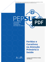 Feridas e Curativos Na Atenção Primária À Saúde