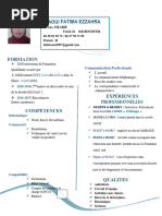 CV Professionnel