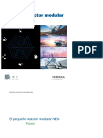 SMR Analisis Organización de Energía Atómica Nea