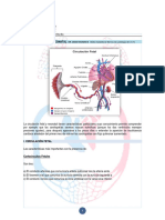 Circulación Fetal y Neonatal