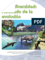 La Biodiversidad: Resultado de La Evolución