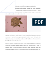 Bacterial Genetic Recombination