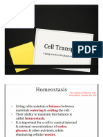 Cell Membrane and Transport