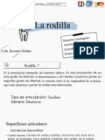 La Rodilla