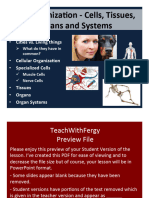 Cell Organiza, On - Cells, Tissues, Organs and Systems: Cells Ci, Es vs. Living Things