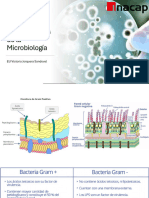 002 - Generalidades Microbiología