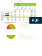 Excel Project