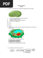 Repaso 3 Biologia