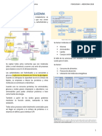 Regulación Glicemia