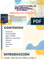 Plan Contable General Empresarial (Teoría y Casos) - Grupo 7