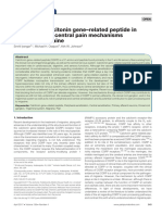 The Role of Calcitonin Gene-Related Peptide in Peripheral and Central Pain Mechanisms Including Migraine