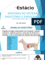 Aula 6 - Digestorio e Endocrino