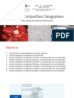 MED 05 T Sanguíneo 2023 - Fabi