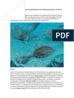 Paleobiología de Los Trilobitomorpha