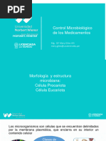 2° SEMANA CLASE Cntrol Microbiologico