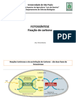 Aula Fotossíntese - FaseBioquímicaeFotorespiração