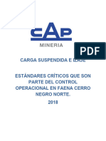 Estándar Carga Suspendida e Izaje Rev IM