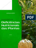 Deficiencias Nutricionais Das Plantas