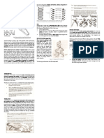 LESSON 3.3 Heredity Notesdocx