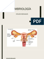 Ciclos Sexuales