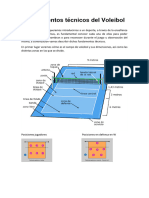 AP. Tecnica Voleibol