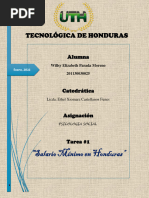 Tarea 1 Salario Minimo en Honduras