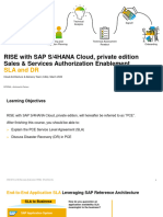 Rise Pce Caa Sla & DR - Wave4