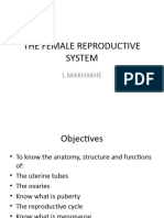 Female Reproductive System Slides