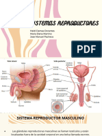 Sistema Reproductor