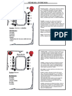 Intrusos, Cartas y Campaña - PDF Versión 1