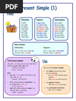 PRESENT SIMPLE, Practice and Explanations