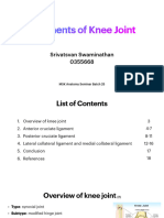 Ligaments of Knee Joint