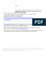 Morphological Variability and Evolution of The Baculum in Mustelidae