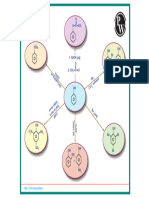 Phenol: Mind Maps