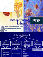 Kidney GM Eng 2020