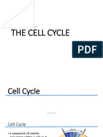 Cell Division