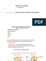 17 Sensory - System - Imtro - 08-02-2023