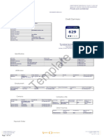 Individual Credit Report Template