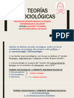 Teorias Sociologicas