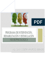 Rehabilitacion NPS