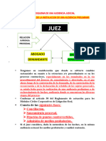 Esquema de Una Audiencia Judicial - Pracica Civil - Utea