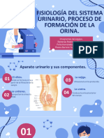 Fisiología Del Sistema Urinario.