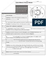 Cell Cycle, Mitosis Worksheet