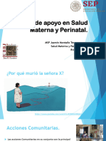 Redes de Apoyo en Salud Materna y Perinatal. Tema 4