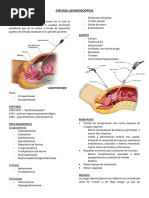 Cirugia Laparoscópica