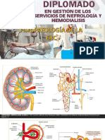 Fisiopatologia de ERC