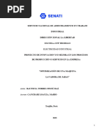 Proyecto de Innovacion y o Mejora en Los Procesos de Produccion o Servicio en La Empresa